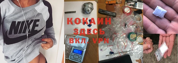 дмт Белокуриха